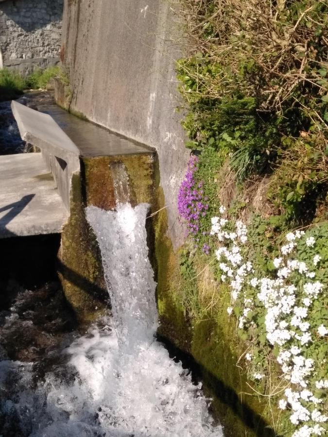 Appartamento Cjase di Doro Illegio Esterno foto