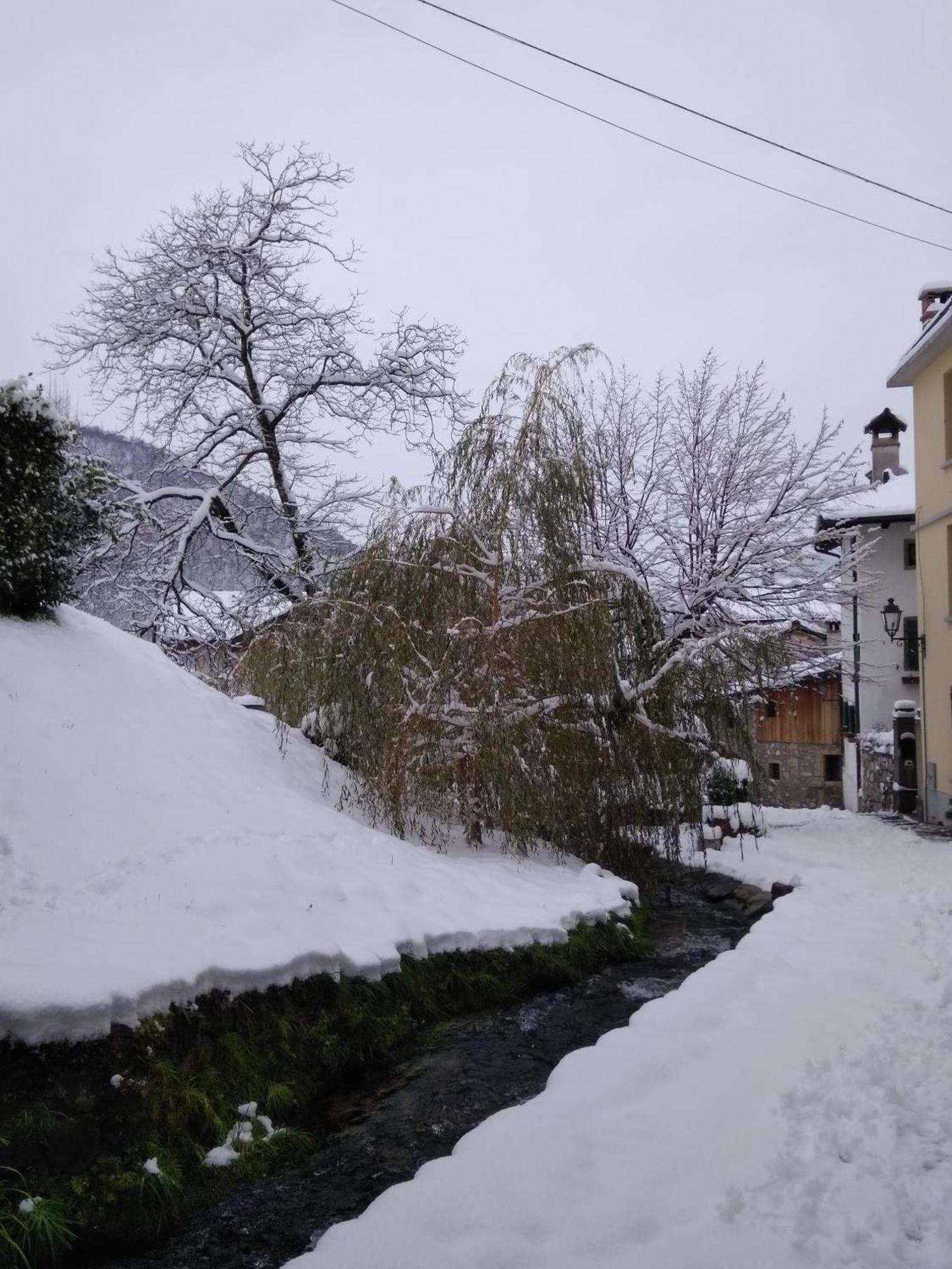 Appartamento Cjase di Doro Illegio Esterno foto